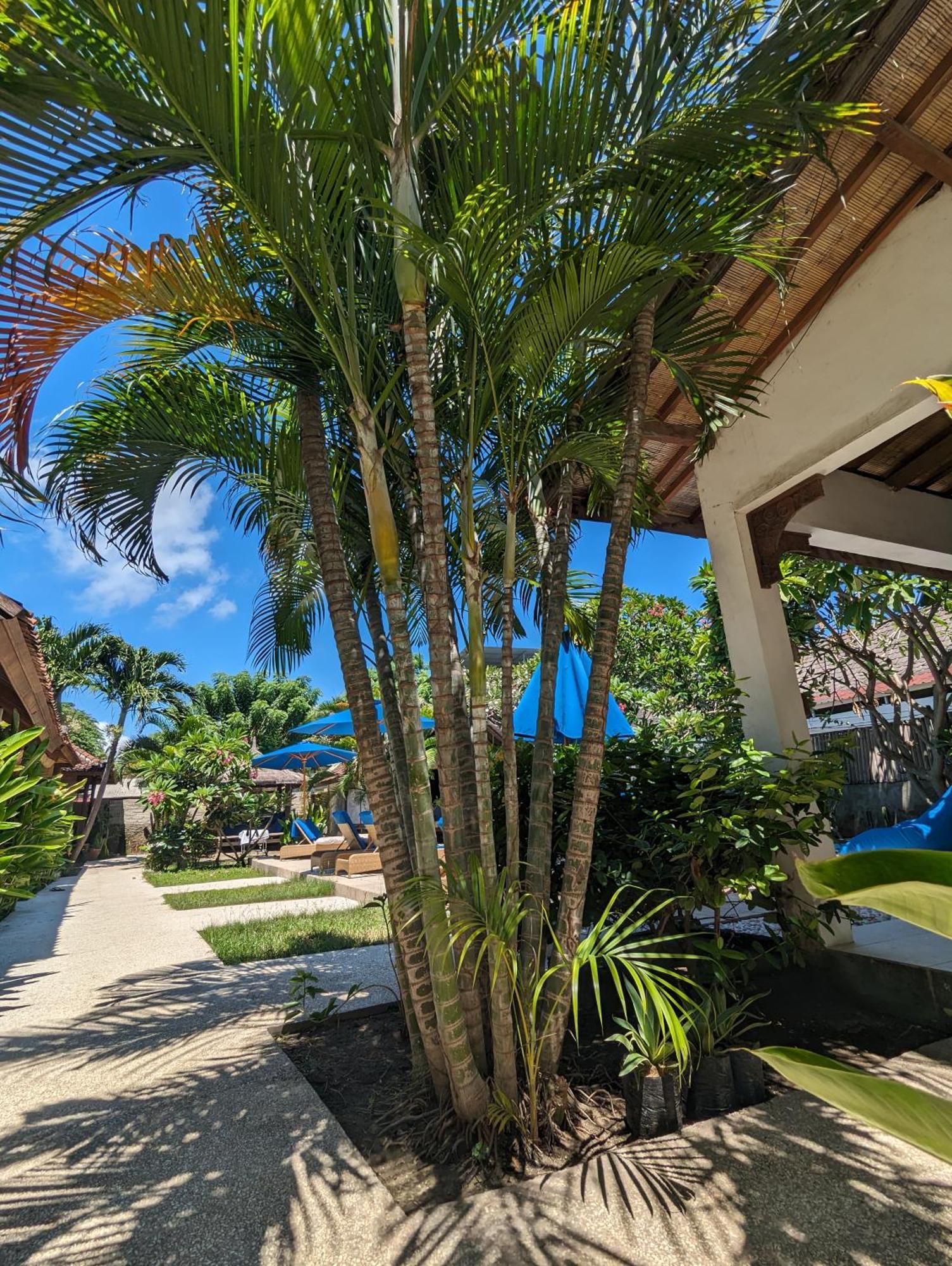 Indigo Bungalows Gili Trawangan Luaran gambar