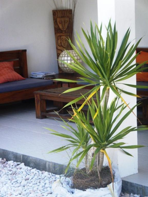 Indigo Bungalows Gili Trawangan Luaran gambar
